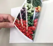 窓ガラスの内側から貼り付け可能
